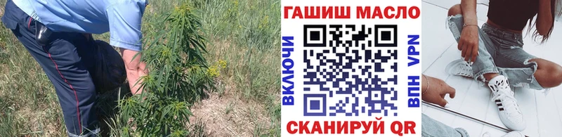 ТГК Wax  Курск 