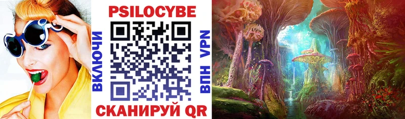 как найти закладки  Курск  Галлюциногенные грибы Psilocybine cubensis 