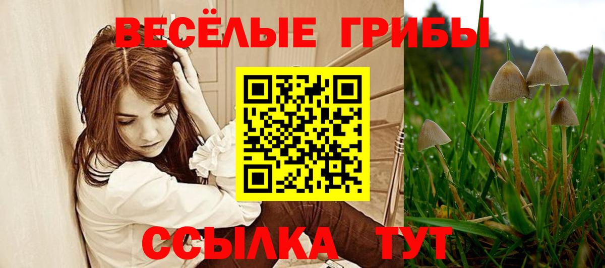 Вейп ТГК Курск