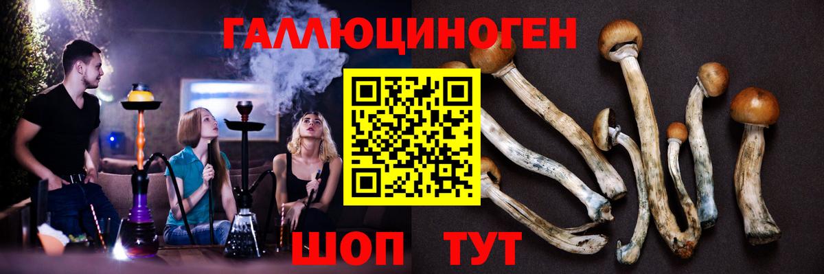 Курск  Галлюциногенные грибы Psilocybe  Псилоцибиновые грибы Psilocybe  Вход с VPN 