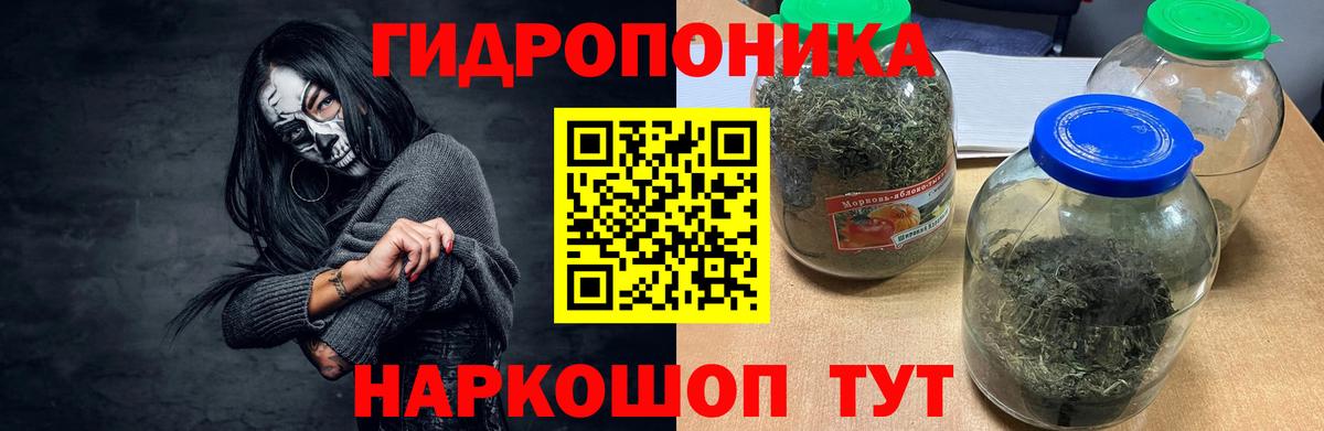 Каннабис White Widow Курск